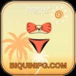 biquinipg Casino King v3.1.9